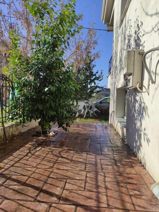 Trikala Home エクステリア 写真