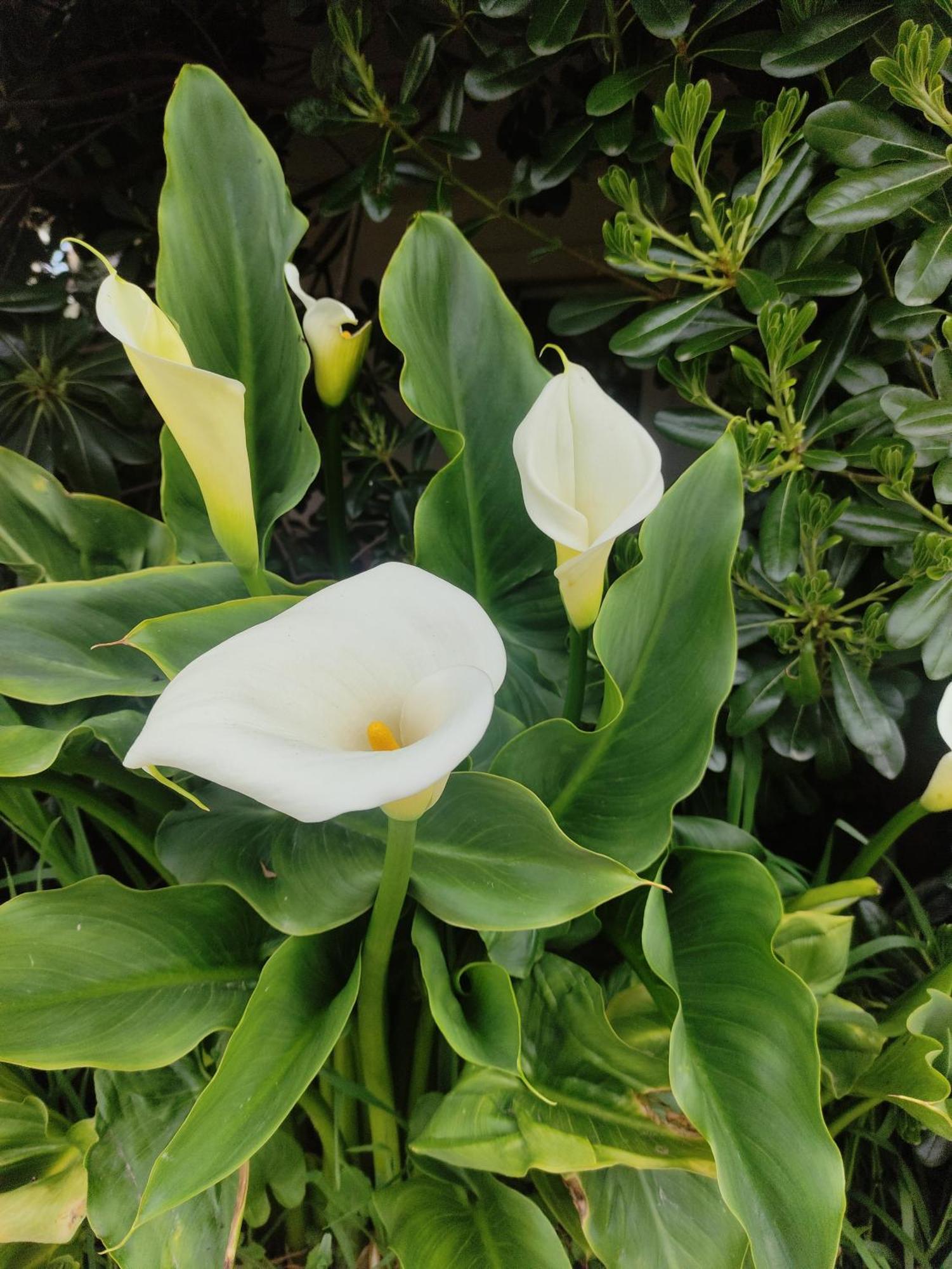 Trikala Home 部屋 写真